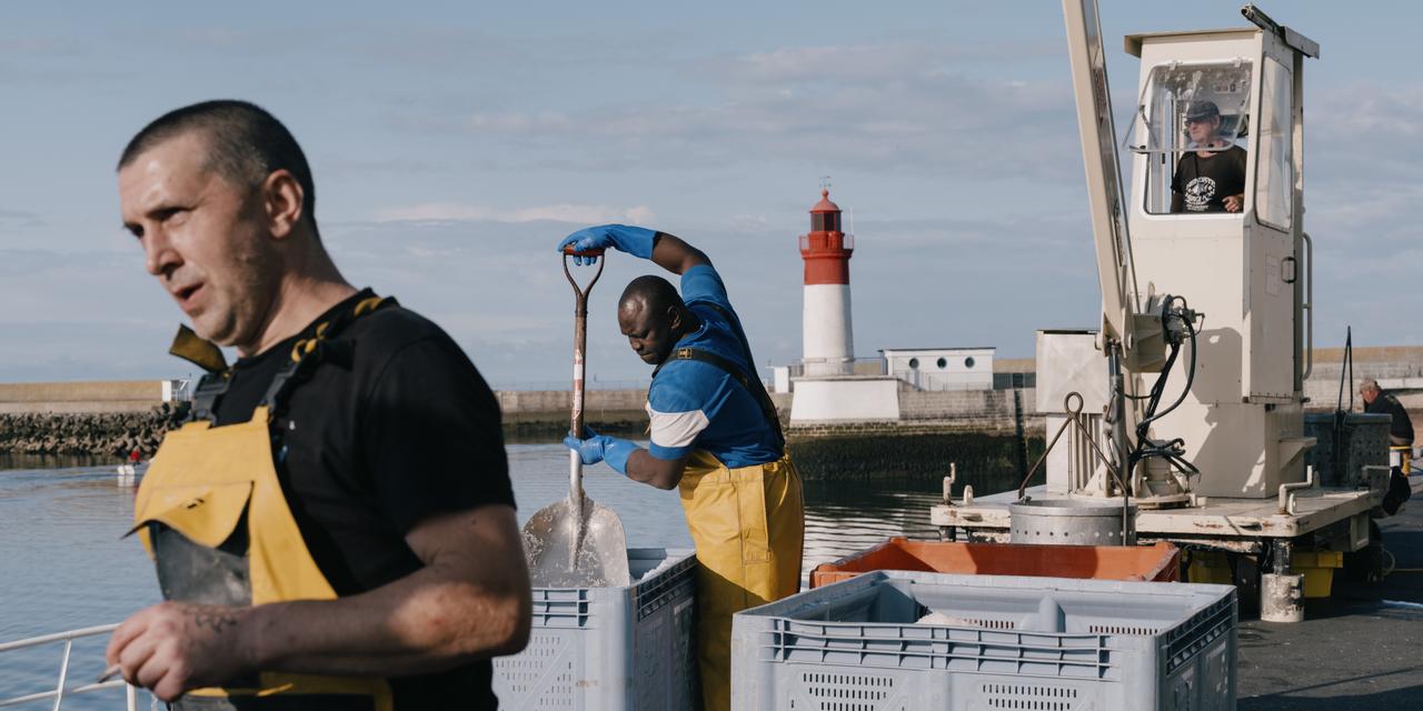 Images Le Monde.fr