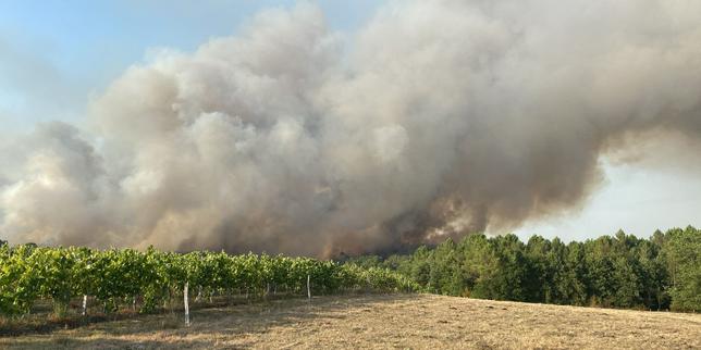 En Charente, l’incendie qui a brûlé 230 hectares et conduit à plusieurs évacuations est « maîtrisé », selon la préfecture