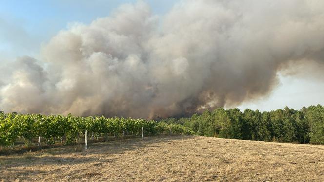 L’incendie en limite de Brossac et Saint-Vallier, en Charente, le 11 août 2025.