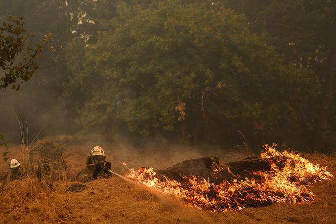 Les pompiers luttent contre le feu, dans le village de Terrenho, dans le centre du Portugal, le 12 août 2025.