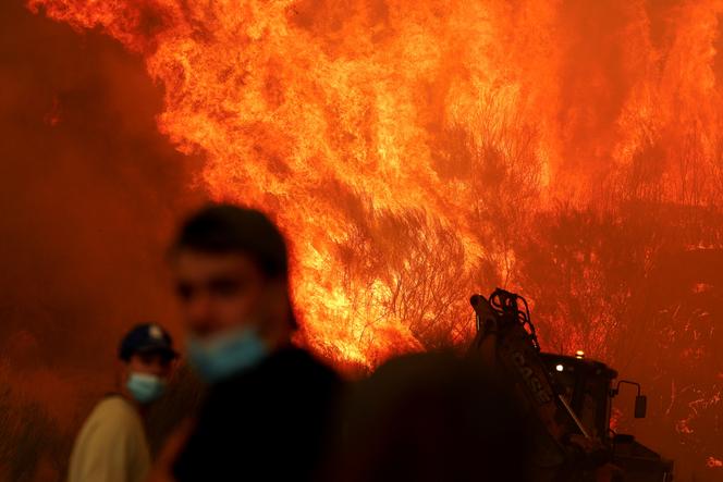 La végétation en flamme à Trancoso, au Portugal, le 13 août 2025. 