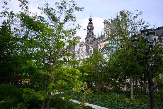 « C’est très beau le parvis de l’Hôtel-de-Ville, mais c’est du kit végétal » : les défis du développement des « forêts urbaines »