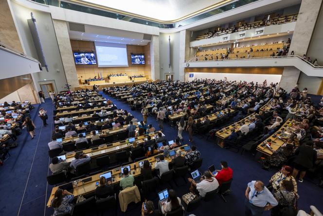 Une séance plénière pendant la deuxième partie de la cinquième session du Comité intergouvernemental de négociation sur la pollution plastique au siège européen des Nations unies, à Genève, en Suisse, le 13 août 2025.