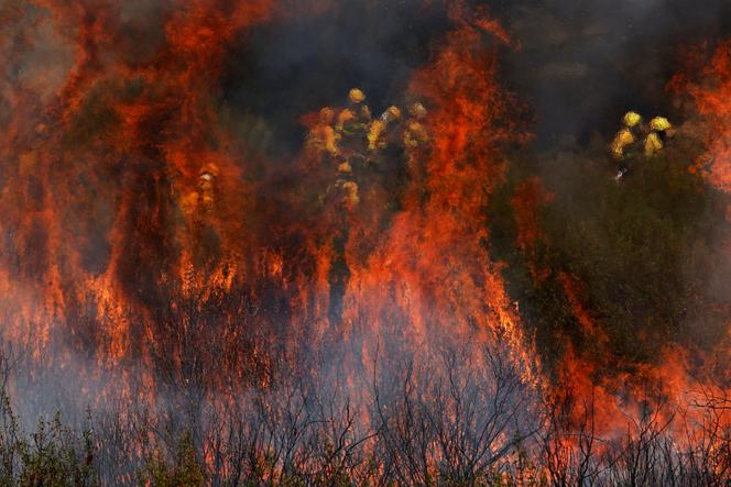 Des pompiers travaillent à éteindre un feu de forêt en périphérie d’Abejera de Tabara, Zamora, Espagne, le 13 août 2025.