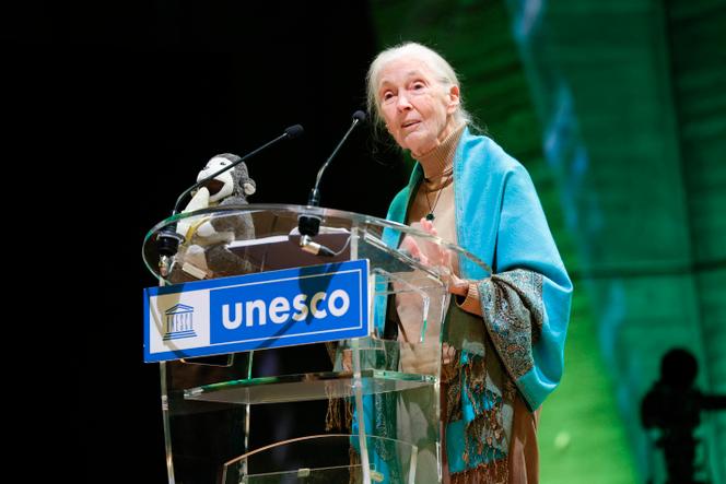 La primatologue Jane Goodall et son chimpanzé en peluche, au palais de l’Unesco, à Paris, le 19 octobre 2024.