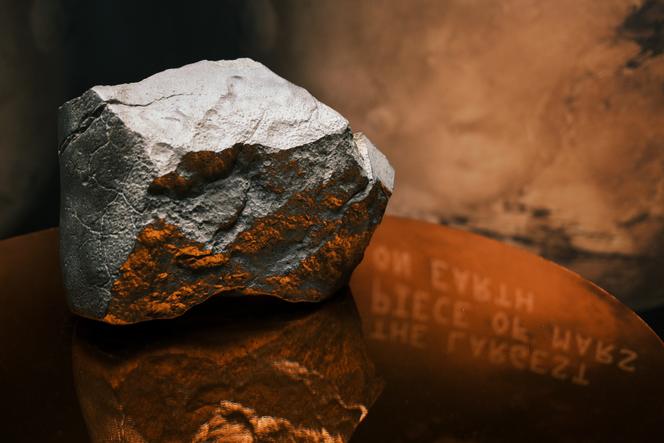 La météorite NWA 16788 est la plus grosse pierre martienne jamais retrouvée. 