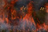 Des pompiers travaillent à éteindre un feu de forêt en périphérie d’Abejera de Tabara, Zamora, Espagne, le 13 août 2025.