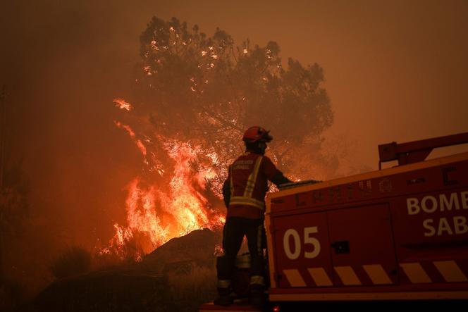 L’incendie de forêt, à Trancoso, au Portugal, le 14 août 2025. 