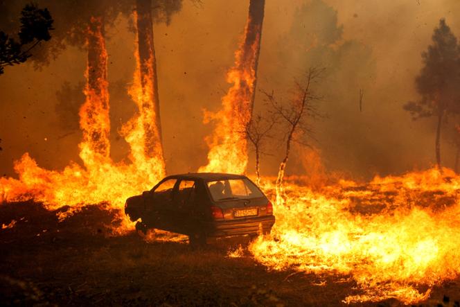 Images Le Monde.fr