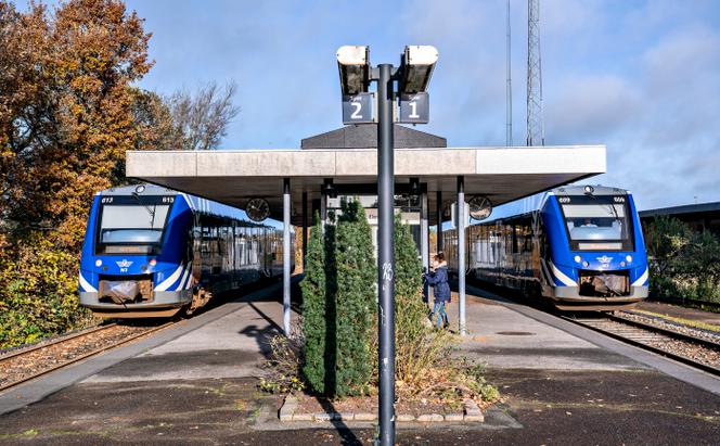 Des trains en gare de Broenderslev, au Danemark, en novembre 2020. 