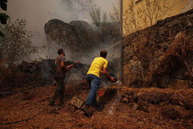 Des habitants tentent d’éteindre un incendie de forêt à Meda, au Portugal, le 15 août 2025. 