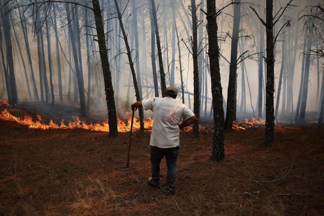 Un feu de forêt près de Trancoso, au Portugal, le 13 août 2025.