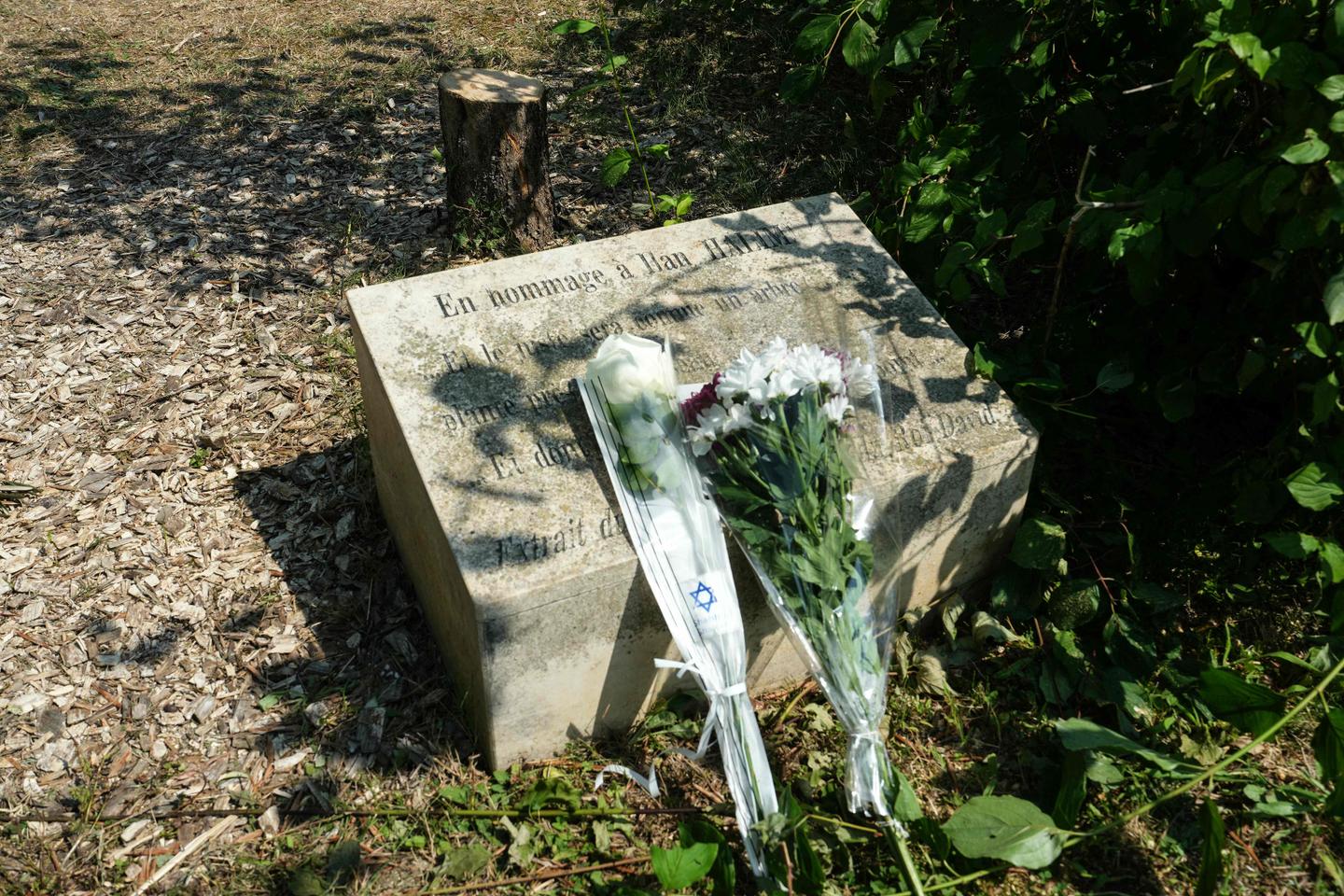 Macron vows to punish 'hatred' after olive tree honoring Jewish victim is cut down