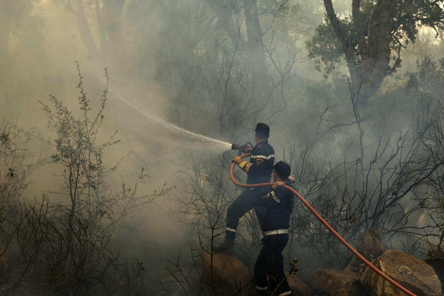 Maroc : le vaste incendie de forêt dans le nord-est du pays est « circonscrit »