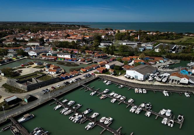 L’île d’Oléron (Charente-Maritime), le 8 avril 2025.
