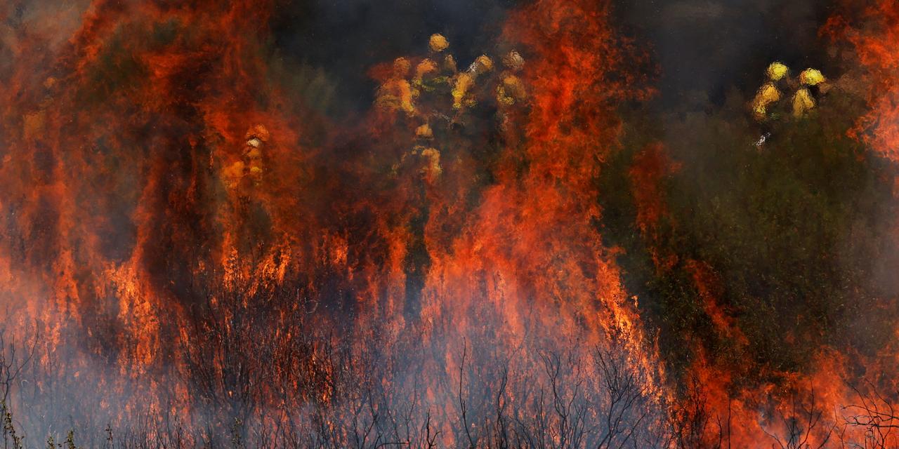 Images Le Monde.fr