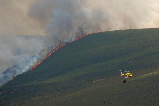 Un hélicoptère lutte contre un incendie de forêt à Castrillo de Cabrera, dans le nord-ouest de l’Espagne, le 16 août 2025.