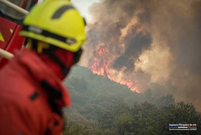 Dans le massif du Petit Bessillon (Var), le 18 août 2025.