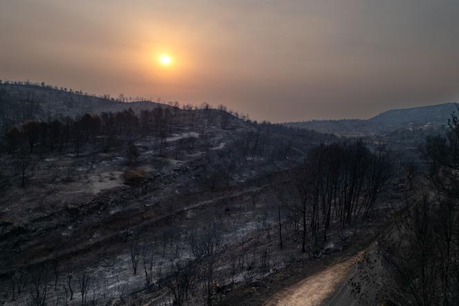 Suite aux incendies de forêt près du village de Jonquieres, dans l’Aude,  le 18 août 2025.