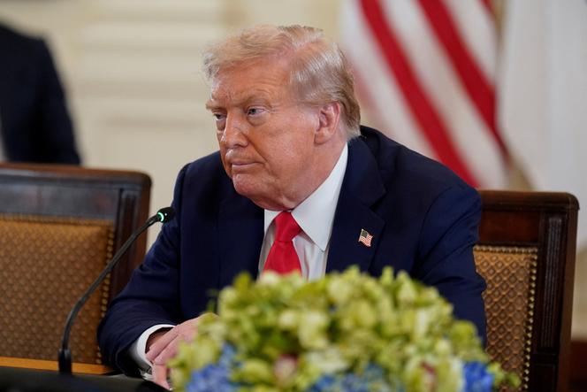 Le président américain, Donald Trump, à la Maison Blanche à Washington, le 18 août 2025. 