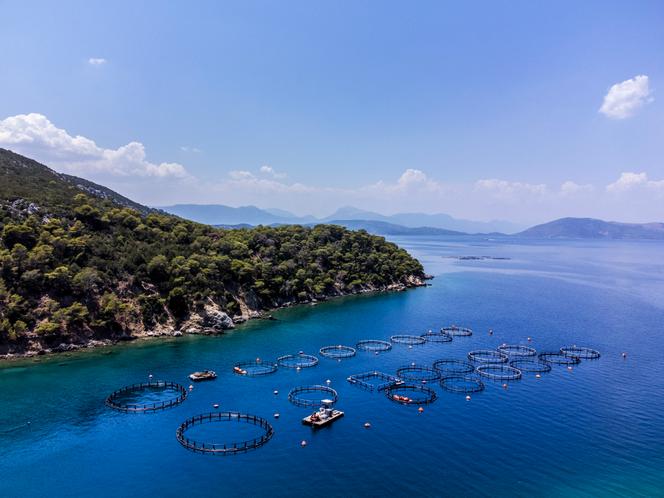 Les fermes piscicoles sur l’île de Poros, le 5 juillet 2023.  