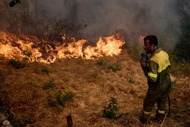 Images Le Monde.fr