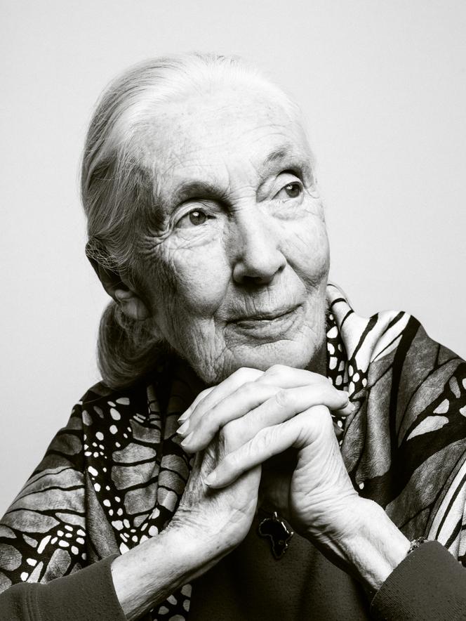 Jane Goodall, à New York, le 28 juin 2019.