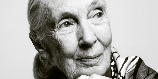 Renowned Primatologist Jane Goodall Dies at 91