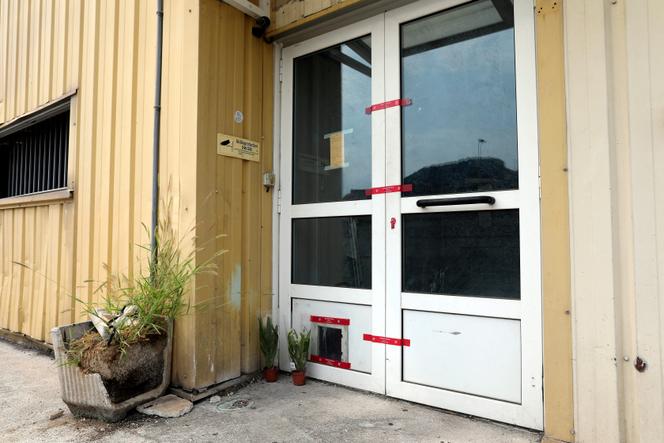 Deux plantes laissées devant le local scellé de Jean Pormanove, à Drap (Alpes-Maritimes), le 19 août 2025.