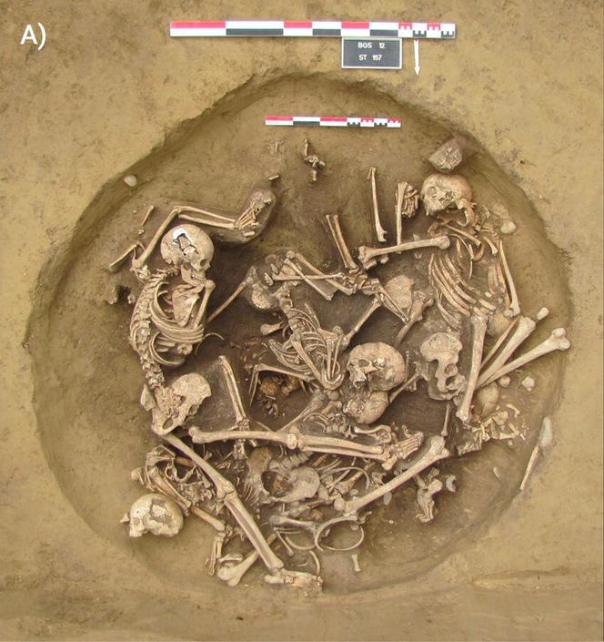 Des dépôts humains datant de la fin du néolithique moyen, dans la région alsacienne de Bergheim Saulager, en France, en 2012.