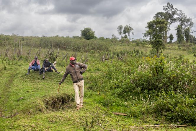 Un membre de la communauté Ogiek, expulsée de la forêt de Mau, devant les fondations d’une des maisons détruites dans leur ancien village, le 16 août 2025. 