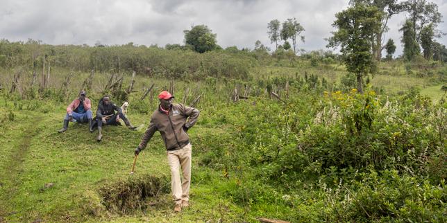Au Kenya, des chasseurs-cueilleurs expulsés de leurs forêts ancestrales