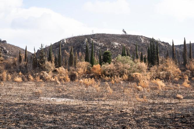 Vues sur les hauteurs de Fontjoncouse (Aude), commune touchée par l’immense incendie qui a parcouru une partie du département en août 2025.
