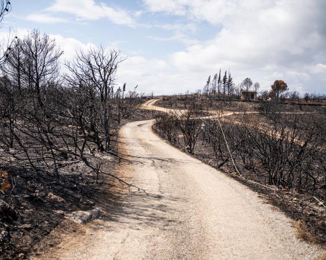 Vues sur les hauteurs de Fontjoncouse, dans l’Aude, en août 2025.