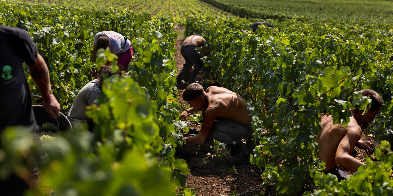 Images Le Monde.fr