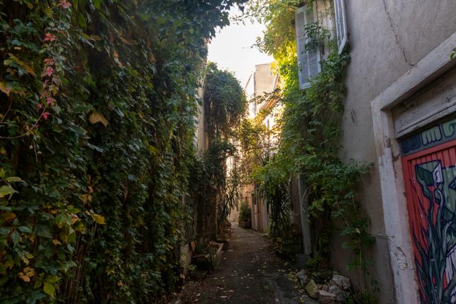 Quartier Gambetta, à Nîmes, le 29 octobre 2024.
