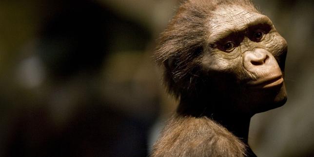 L’australopithèque Lucy est exposée en Europe pour la première fois
