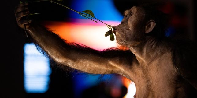 Le squelette de l’australopithèque Lucy est exposé pour la première fois en Europe