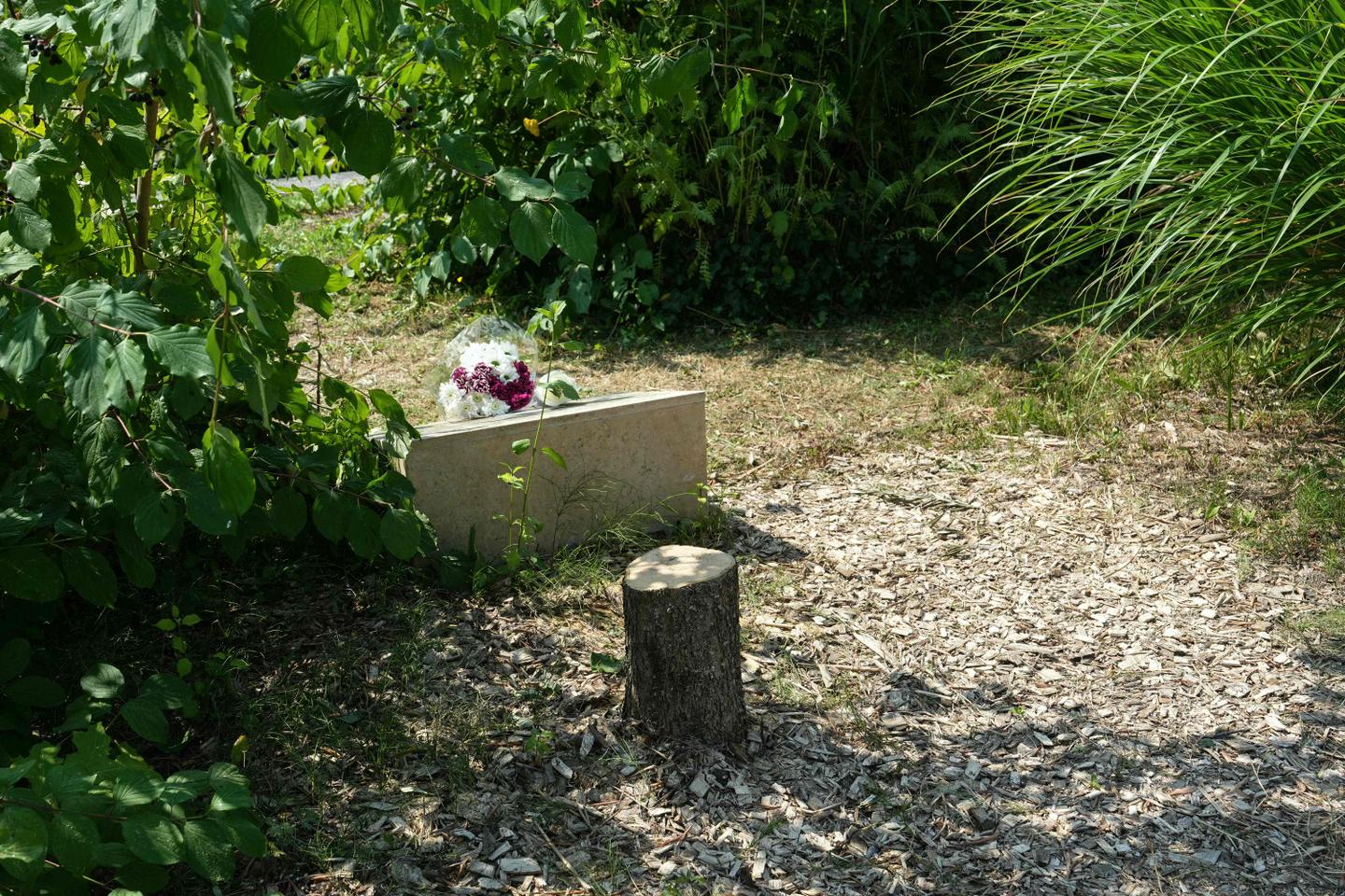 Brothers arrested over felling of memorial tree to French Jewish murder victim