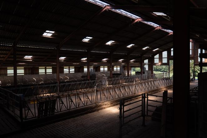 L’abattage d’un troupeau de 53 vaches atteintes de la dermatose nodulaire contagieuse a eu lieu dans cette étable le 31 juillet. Depuis, l’éleveur attend des directives de l’Etat pour la désinfection du bâtiment, qui est inutilisable. A Faverges-Seythenex (Haute-Savoie), le 23 août 2025.