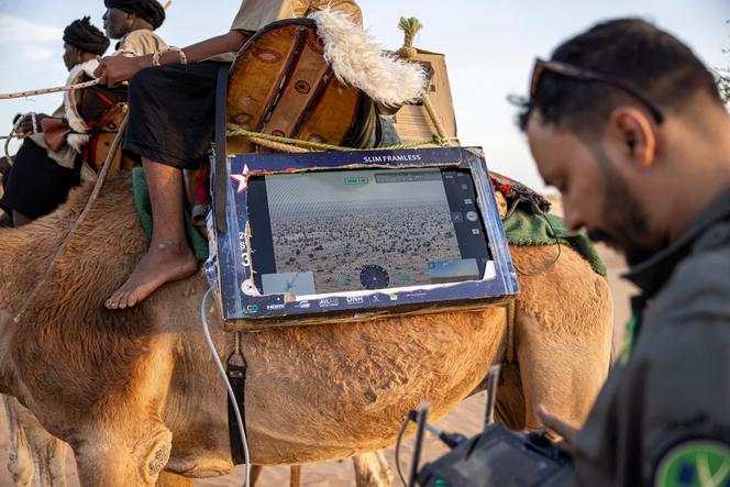 Un membre de la Garde nationale mauritanienne pilote un drone à la périphérie de Oualata, le 6 avril 2025. Pour apprivoiser ce vaste territoire qui partage 2 200 km de frontières souvent poreuses et mal définies avec le Mali en proie à une insurrection djihadiste, la Mauritanie s’est appuyée sur la lenteur du dromadaire là où les 4x4 s’enlisent.