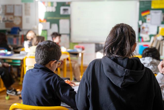 Un élève et son accompagnante d’élève en situation de handicap (AESH), dans une école de Lyon, le 18 février 2025.