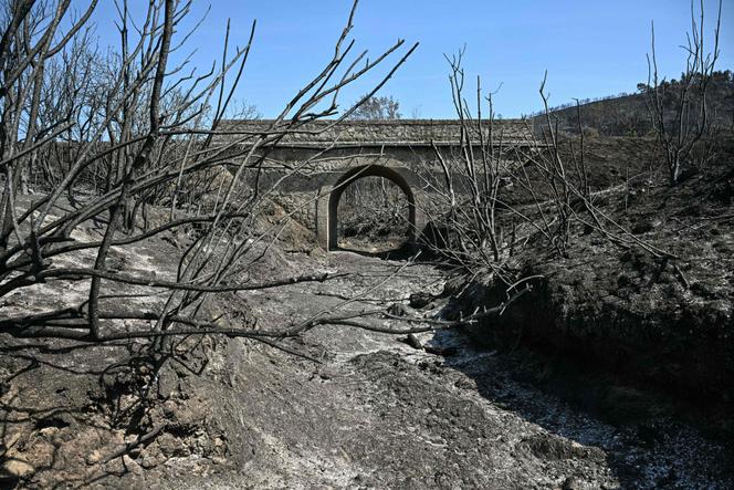 Un ruisseau asséché entouré des terres brûlées par un incendie, à Coustouge (Aude), le 8 août 2025.