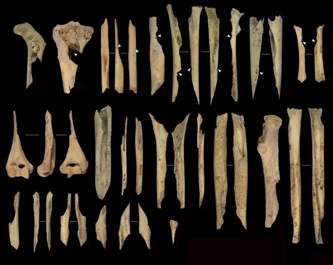 Os fragmentés et cannibalisés provenant des membres d’El Mirador, à Atapuerca (Espagne).