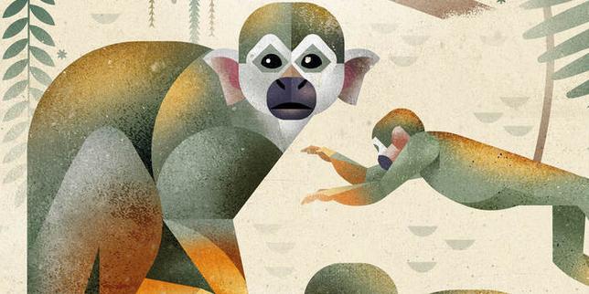 Notre sélection de livres cette semaine : « Cantique du chaos », « Ce qui luit dans les ténèbres », « Paranoïa »…