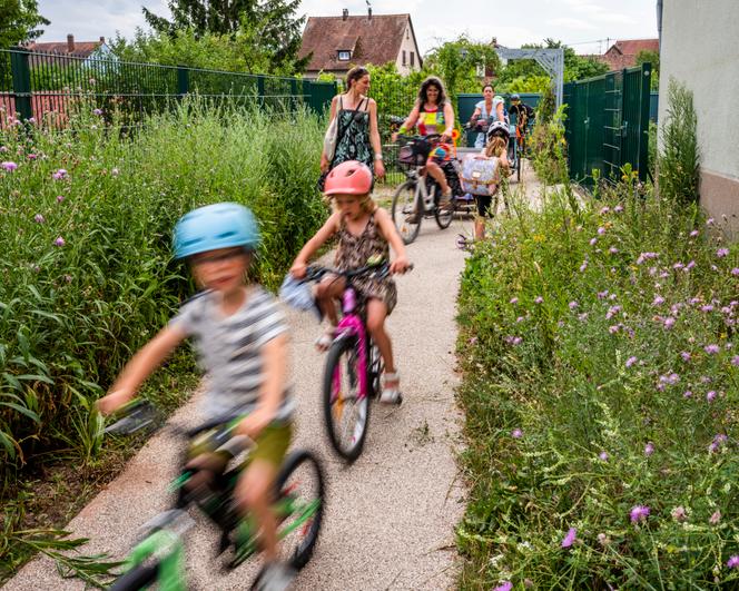 Une piste cyclable empruntée par les enfants, aménagée entre l’école élémentaire et le gymnase de Muttersholtz (Bas-Rhin), le 26 juin 2025.