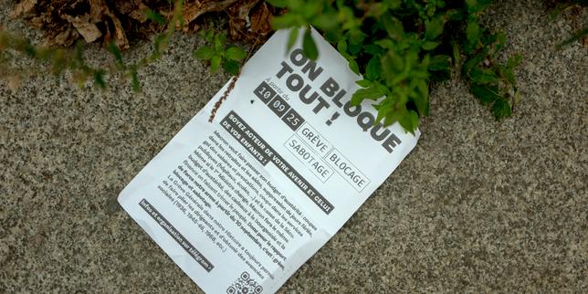 Mouvement du 10 septembre : de nombreux collectifs écologistes apportent leur soutien pour tenter de « verdir » les revendications