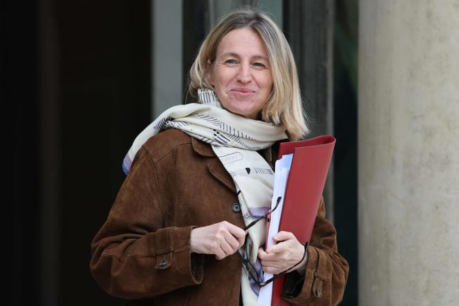 La ministre chargée du travail et de l’emploi, Astrid Panosyan-Bouvet, à l’Elysée, à Paris, le 16 juin 2025.