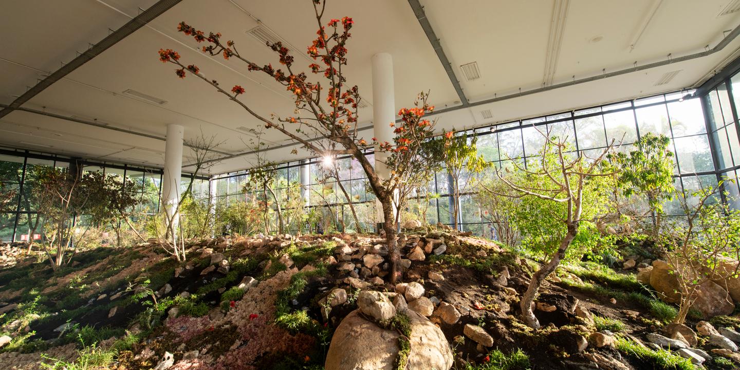 A Sao Paulo, l’art érigé en rempart face à la déshumanisation du monde