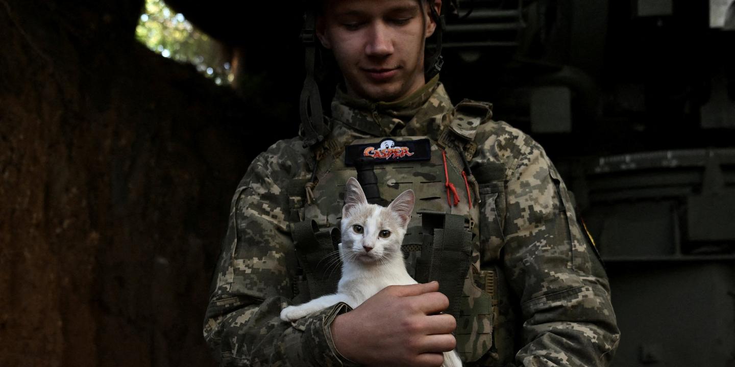 En direct, guerre en Ukraine : le point sur la situation